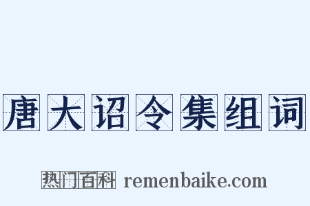 唐大诏令集组词是什么意思的图片